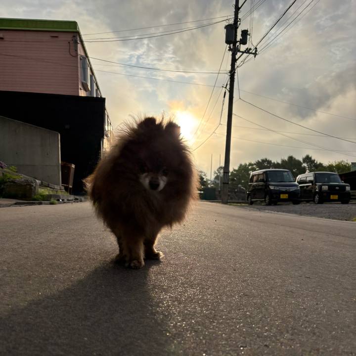 F6a613e4 0249 47e9 822e e52efb721535 1748747134703