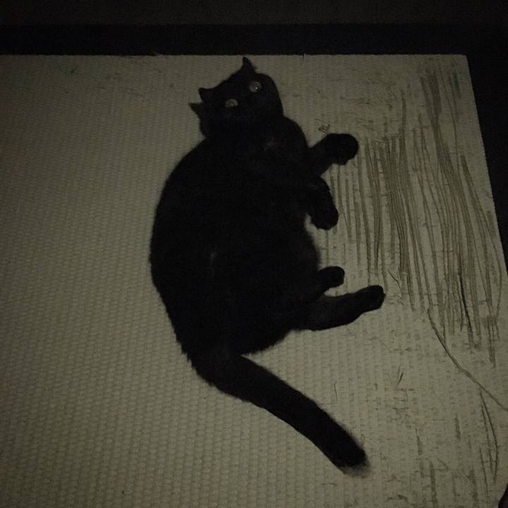 F6a6271a 6e19 498f ad62 fbf915df3150 1511817265198