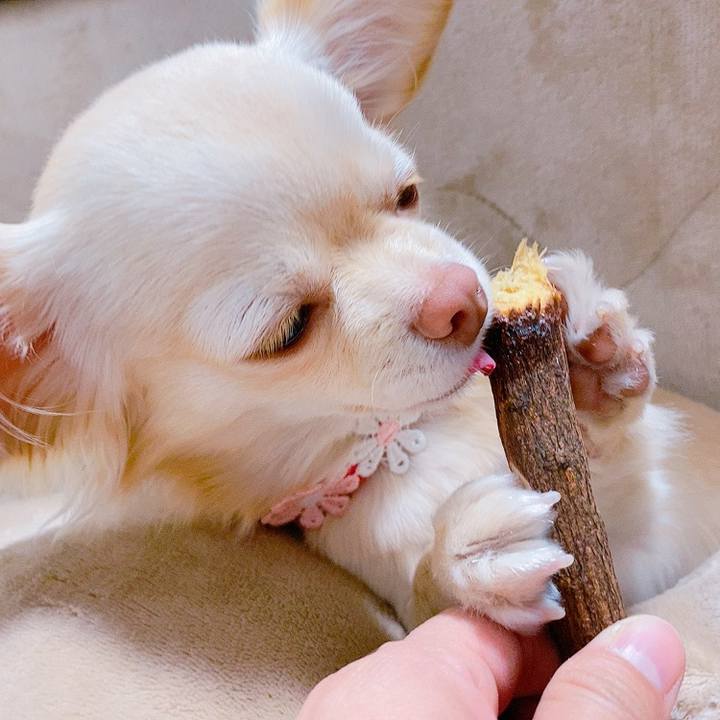 F6a632b2 02b6 4be1 904f 619311e6654a 1614164155898