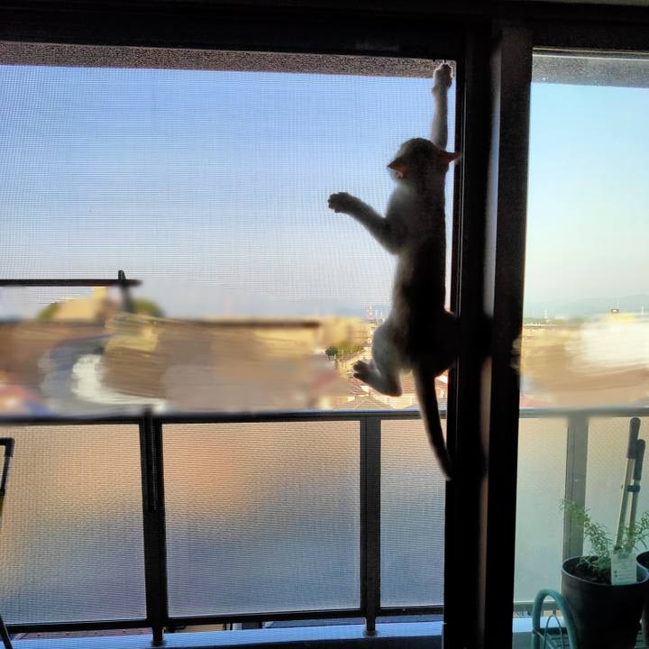 F6a6716c 66de 441c bb4a f6528b8e0875 1626923243134