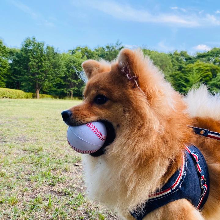 F6a6a00c ca7a 4b14 8c7b ce294dcca9aa 1590913684522