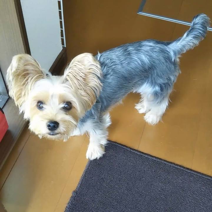 F6a6a080 67bb 4231 b19a 460311150be8 1601430459991