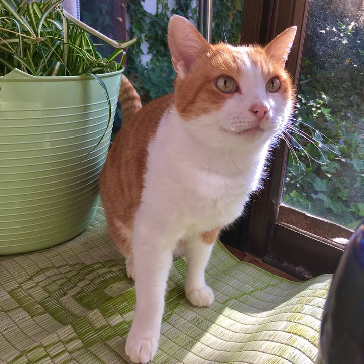 F6a6a707 7bc3 4f44 86cb d3a2024be93d 1574669604825