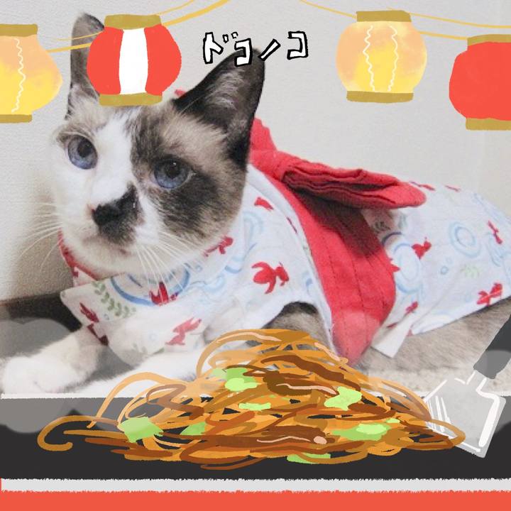 F6a6aa90 8308 4452 abc3 be1a381bf652 1755132927527