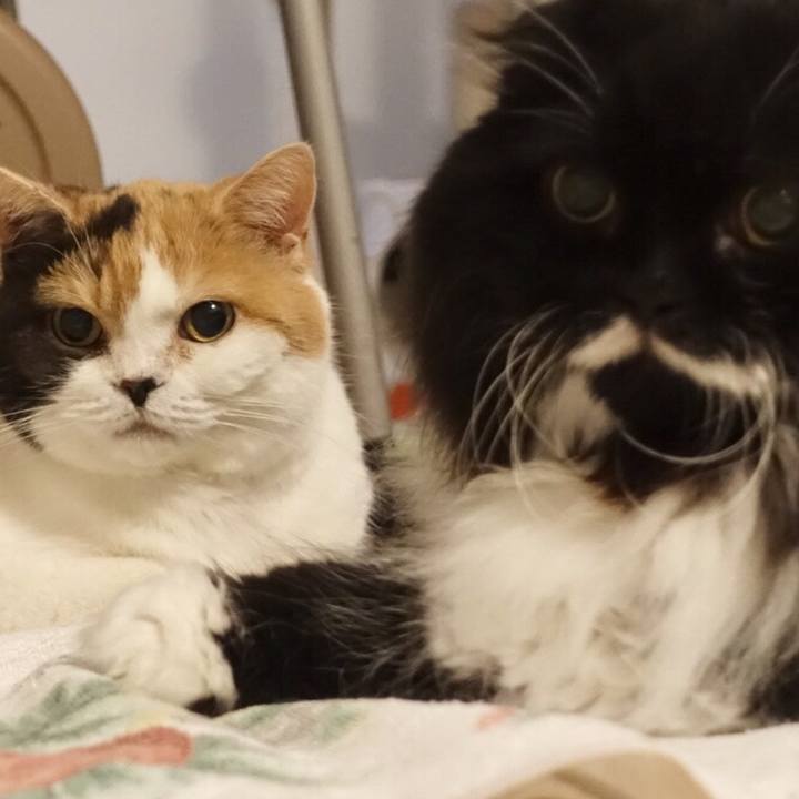 F6a6c7c7 6863 4e1a a8b3 9a486c945349 1556143460138