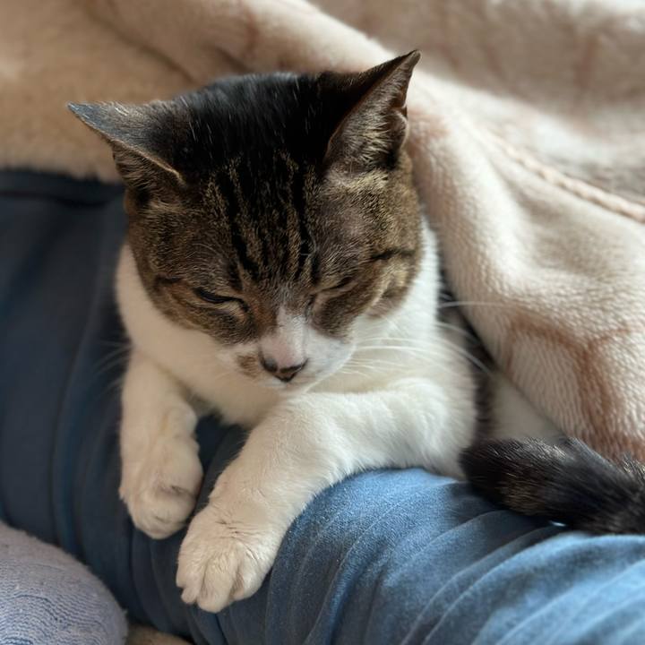 F6a70044 ba1c 4ce8 9975 a2087eca7a9c 1681180488046