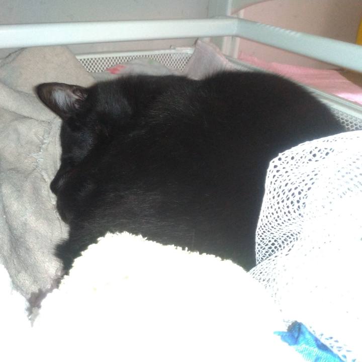 F6a702c9 c400 461f 81b9 f05f21219586 1556605548475