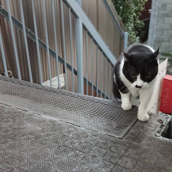 F6a70909 5552 47be 9341 773b2bb23669 1668721564540