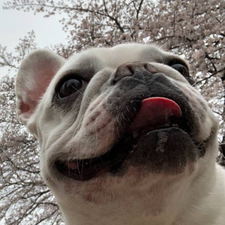 F6a7148f 6fd6 4c7b a18c 5cb96fcacf72 1553910066886