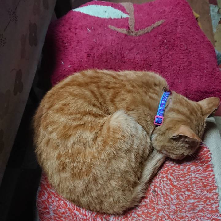 F6a807e7 1bd7 405a 83b5 b1e0a7b889f4 1557606242487