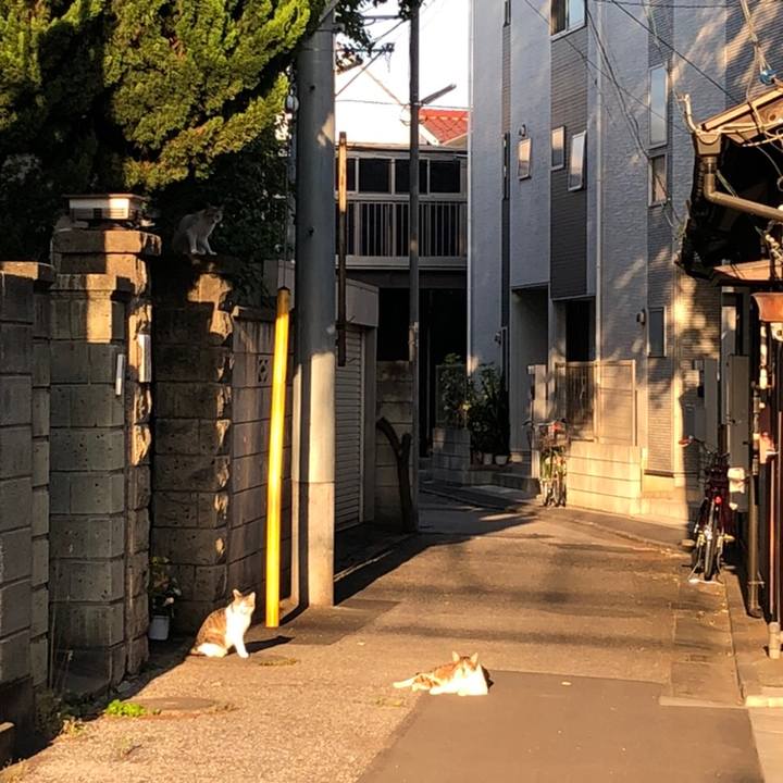 F6a8090e 1f18 4e10 b3c8 5ab6ae3cdc27 1558642718199