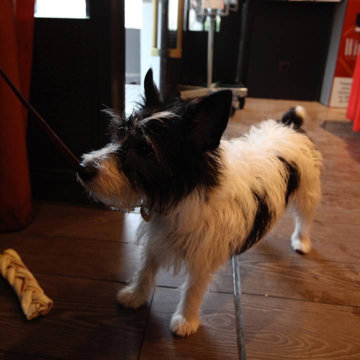 F6a82925 92a3 4598 93d0 db10846f69f7 1528429381041