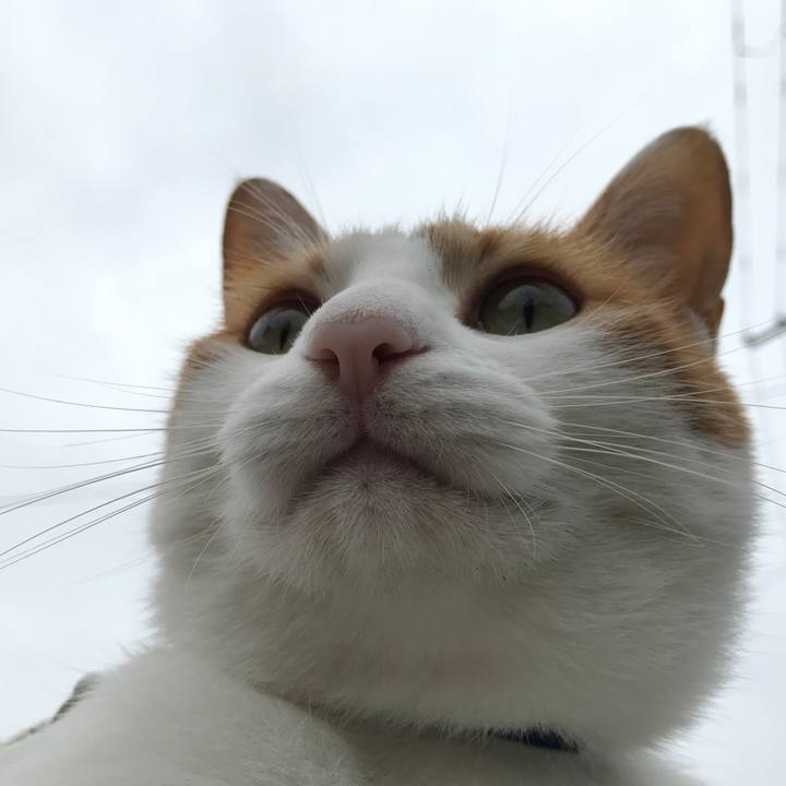 F6a82d43 9dff 44e6 a745 e13f1574e627 1531350892402