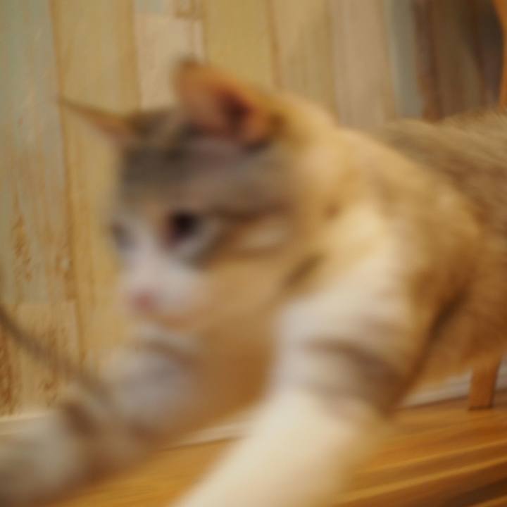 F6a85379 5c27 42a1 bb95 f5485b146133 1587990836890