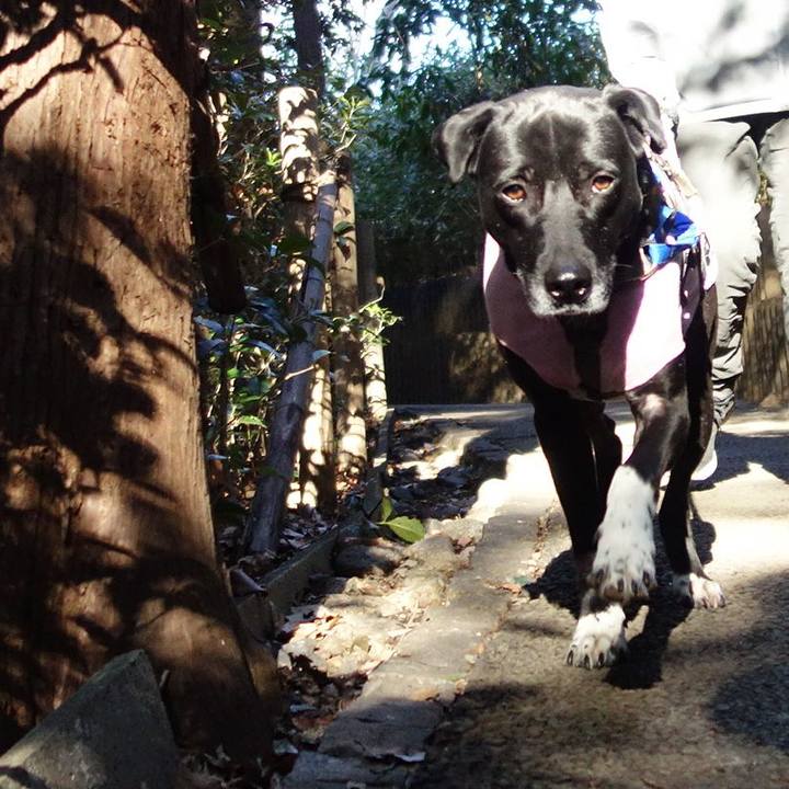 F6a860aa a8b6 4247 9199 23c1ee6af3ea 1645577856892