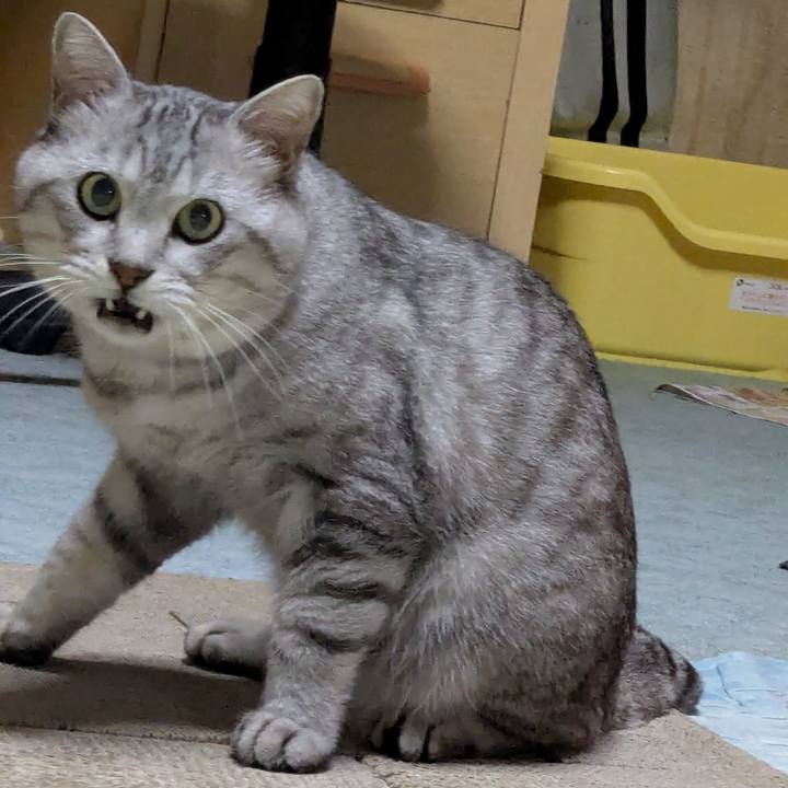 F6a87bbd 43f8 4406 940a 77205997bec8 1759444082268