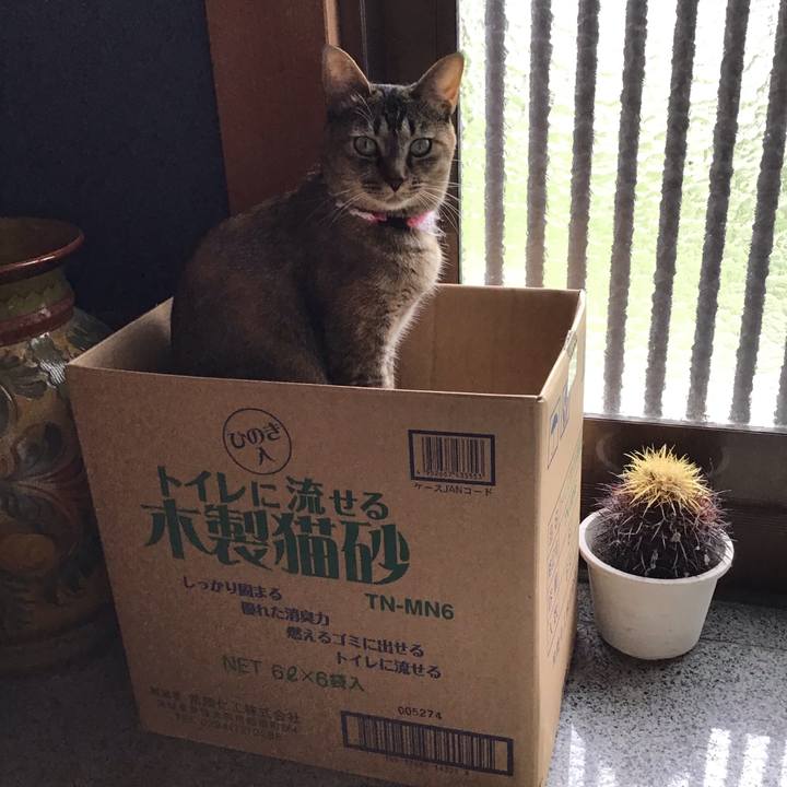 F6a89302 c053 4ce7 98d0 888de965f9dc 1595994758746