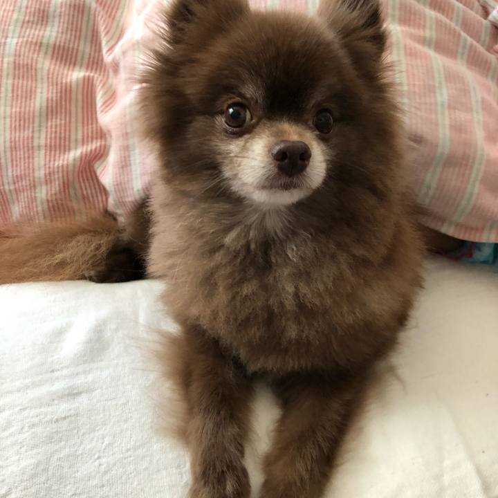 F6a8fdb2 fa8e 447f a29f 45d271a5b5a4 1557523251754