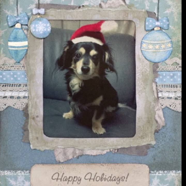 F6a8ff21 dac4 40a6 94b6 2bb44b7fc23a 1577197557237