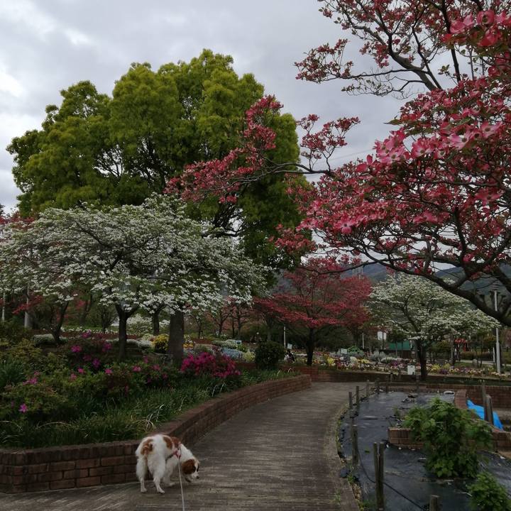 F6a9172d 49f4 48b8 bd14 71a99424a1ac 1587545295151