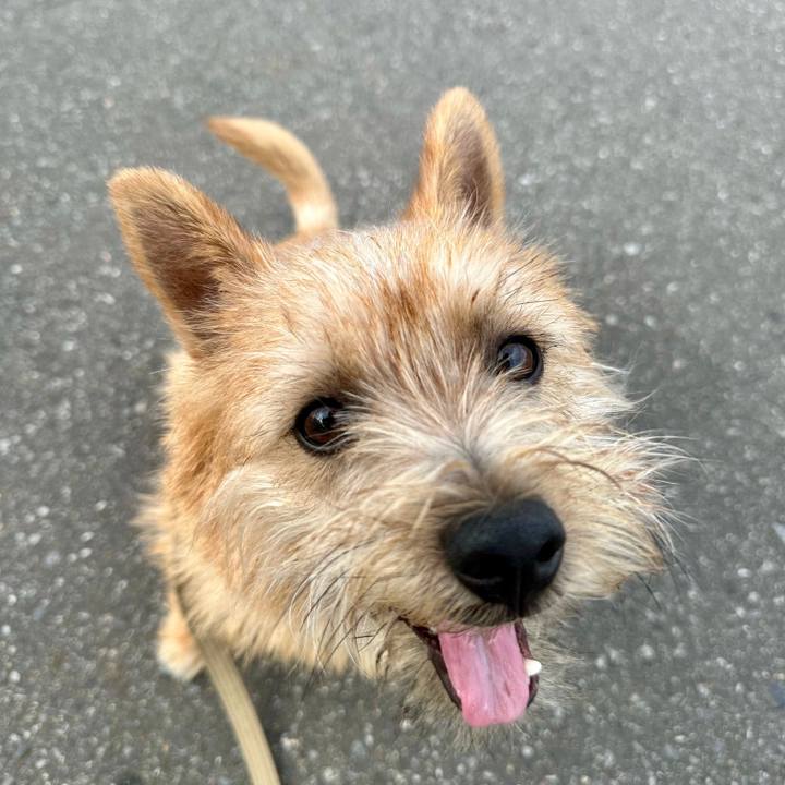 F6a94112 2009 4262 a4cf ea0af8b4598e 1714091580053