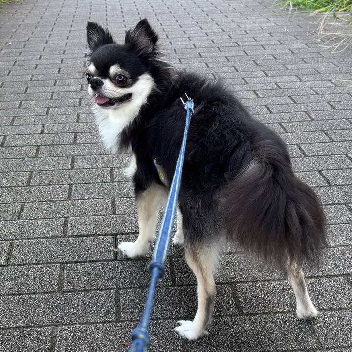 F6a96140 3d55 498d 824a a369c3ef0929 1756509233367