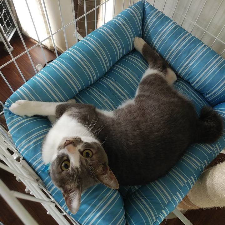 F6a9d103 bd43 4eda 9a48 ae45e9d5b89f 1594425110900