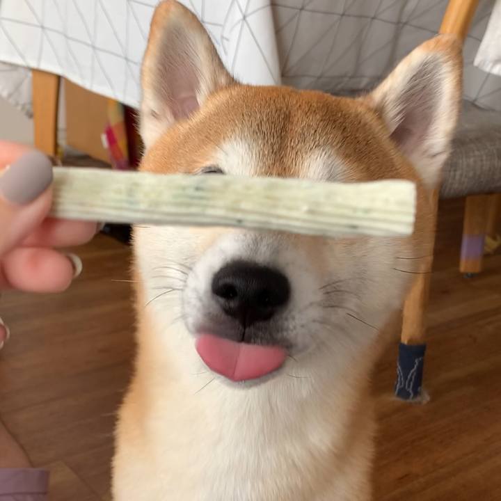 F6a9dd06 efa4 46c6 b626 9eddaed77e3d 1603629184813