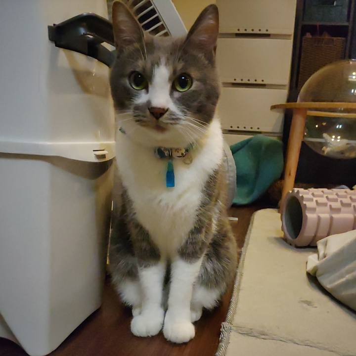 F6a9eb3d d685 499e a6db d3b2a236aa32 1669384071413