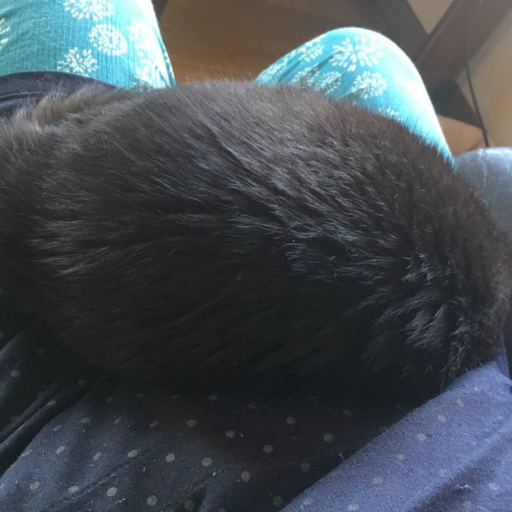 F6a9fad1 faab 4c25 932f e31f28bffe5a 1536384290738