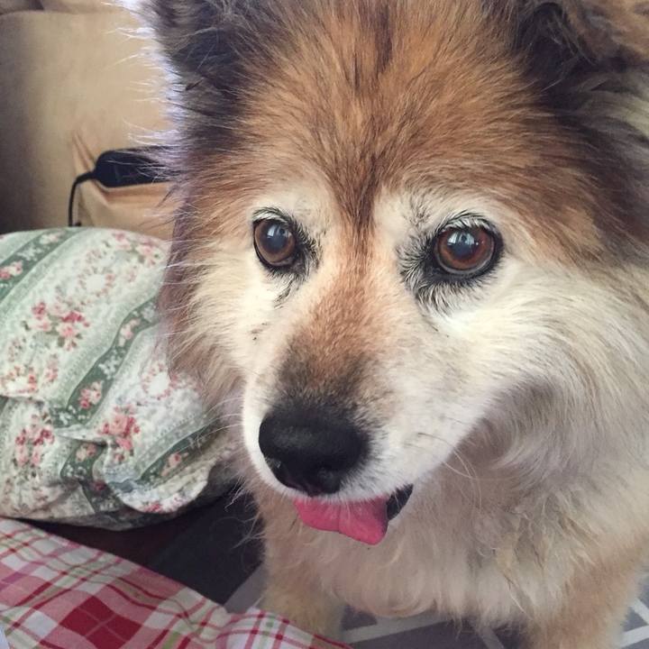 F6aa085d 2678 4430 bd88 6d6c319439d7 1619803429609