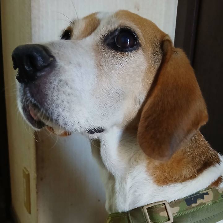 F6aa1c3f d081 4165 ada0 ddf1e1f581d3 1757138743064