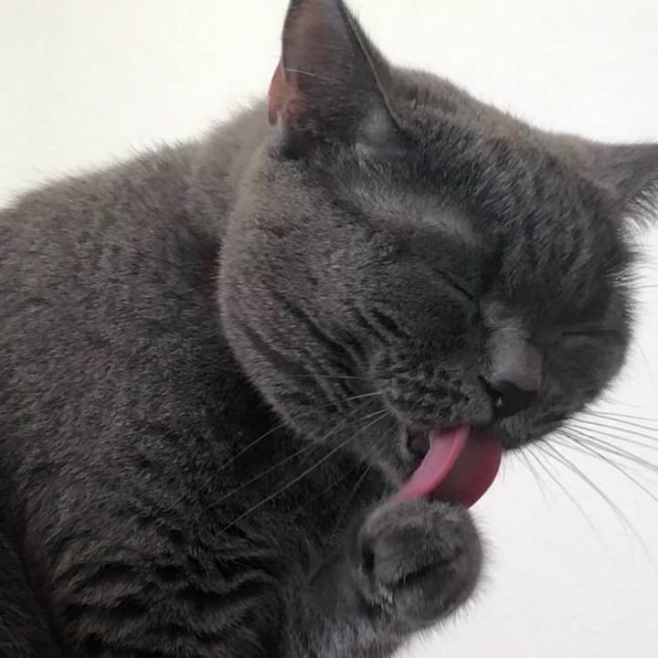 F6aa61ce df58 4e80 9ef0 d1b99a58ff74 1644624435415