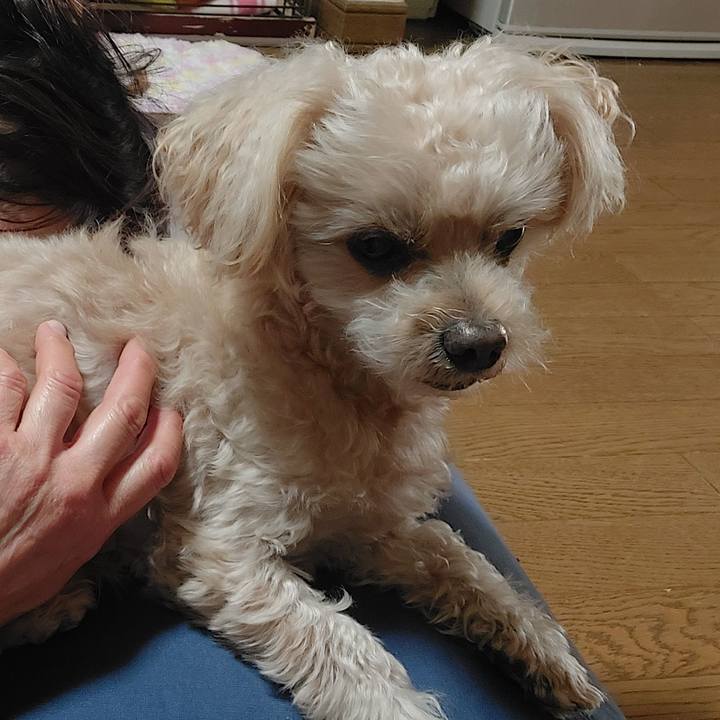 F6aa6760 1e3f 47c8 a857 cdb7d1a76587 1734242537925