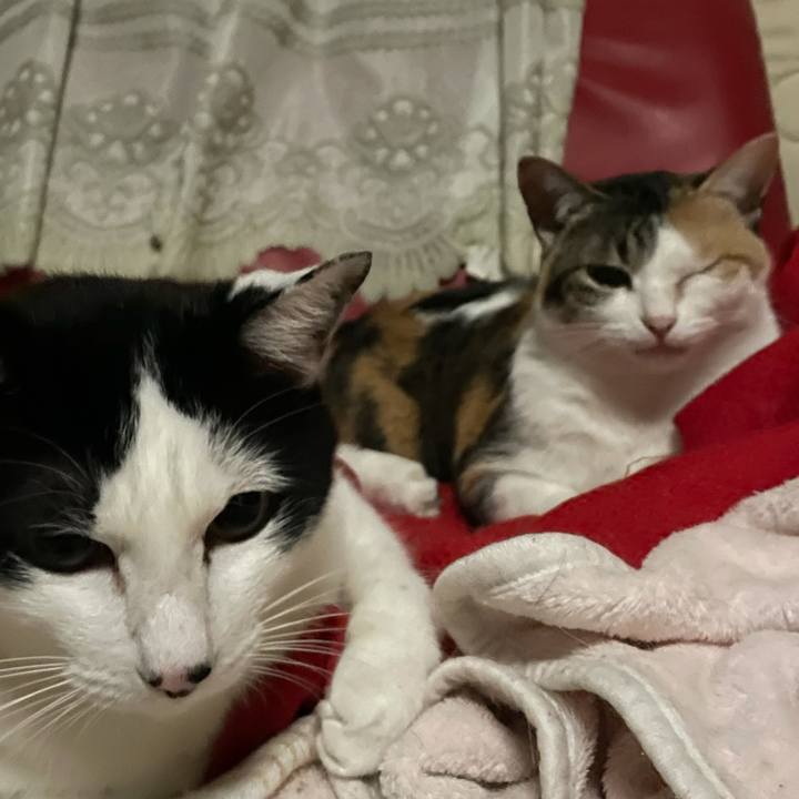 F6aadf9a c9dd 411c bbaf bdf9dd84977a 1621340137367