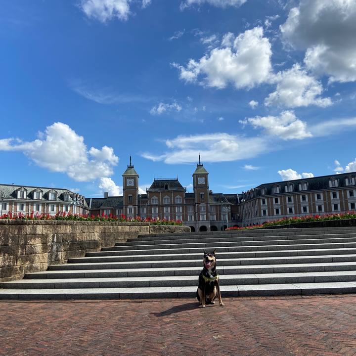 F6aafd17 724c 4cd6 a455 c3463fd742cf 1630931234064