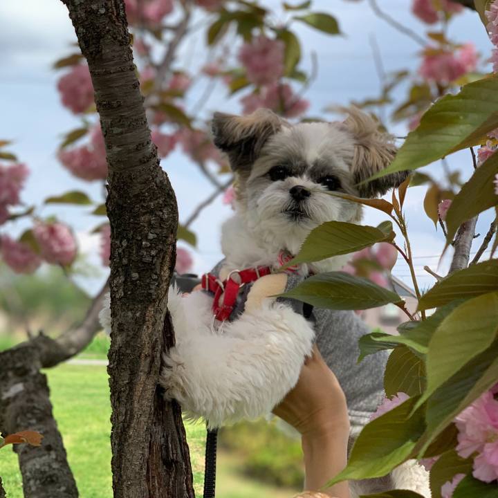 F6ab0739 1375 4a0a 9ed5 0eb33ff0b57a 1587545382772