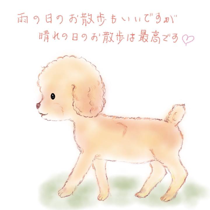 F6ab1e38 2719 419b bbec 124e89b0b707 1622291667441