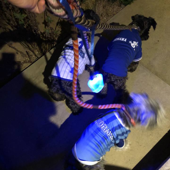 F6ab3b52 a0fb 4c67 ade7 61312bdcd51d 1535032654004