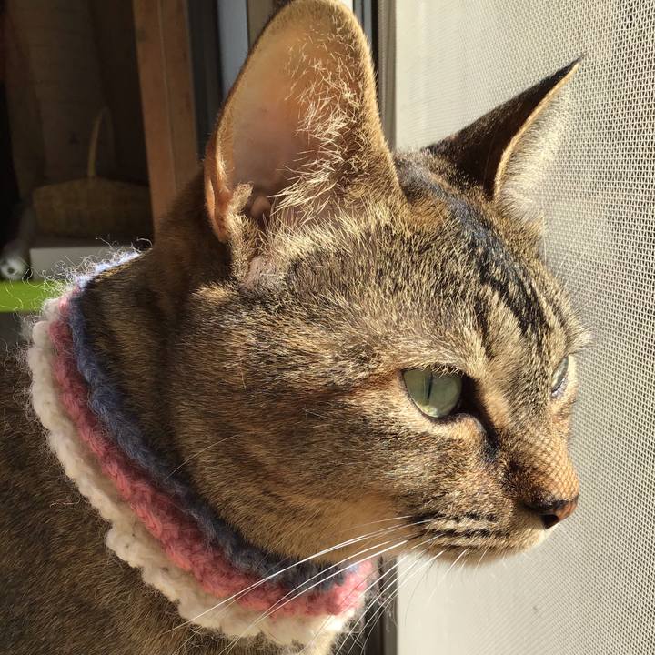 F6ab41b6 5e23 4af1 91b7 812ca8baf83b 1618097107353