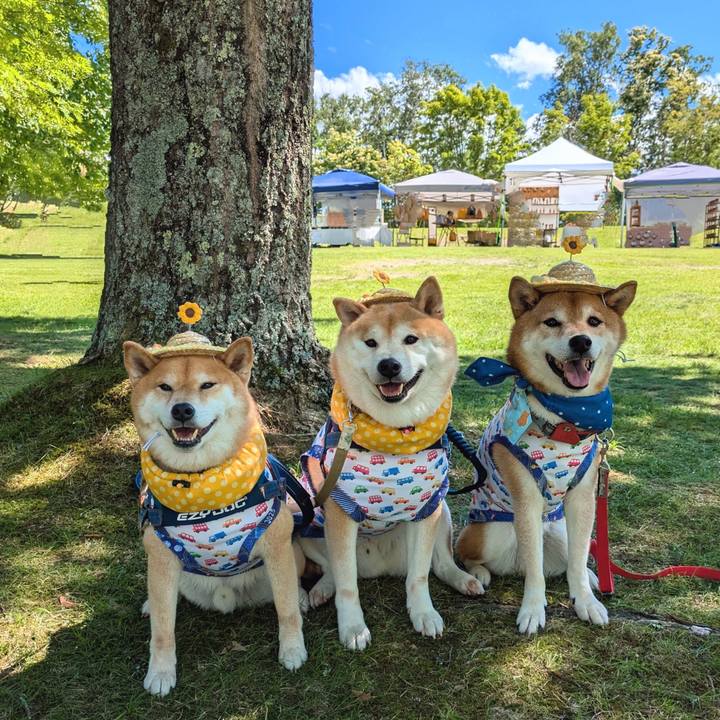 F6ab56b6 d43c 4507 8dd8 7c5b93de93fe 1720328746231