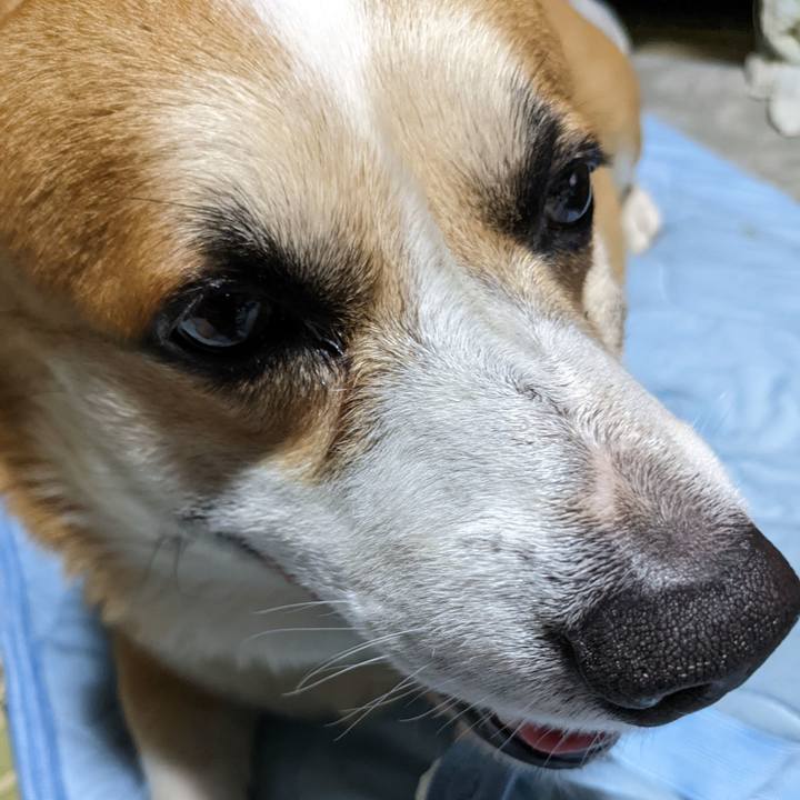 F6ab5975 2e6d 442f 8b8d 27472a4a1050 1690294140132