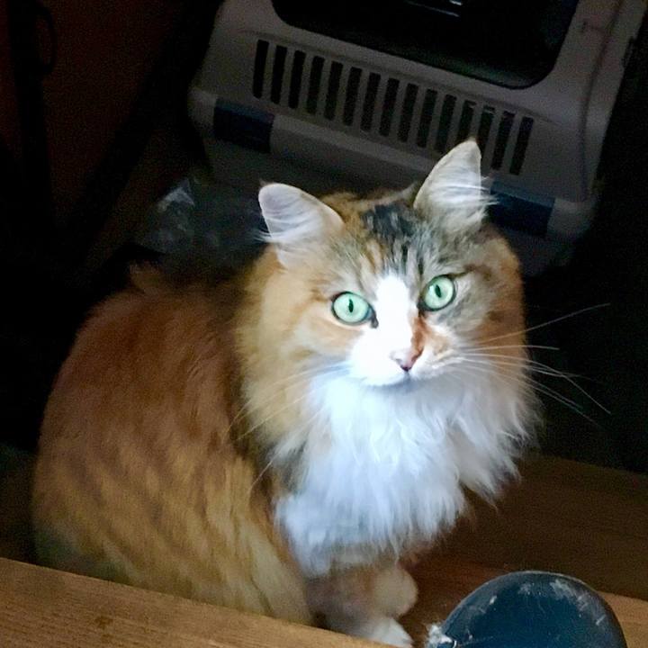 F6ab6b91 dc98 4917 bbfc 167f590c7b72 1566458445961