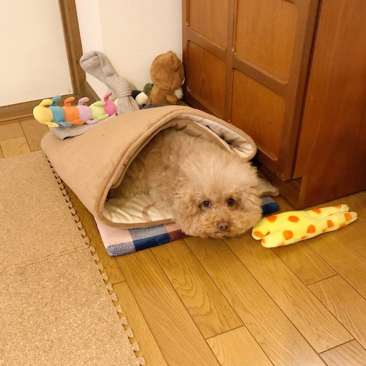 F6ab89ea 4381 4b0f 8502 1d9a905c3c77 1517102710850