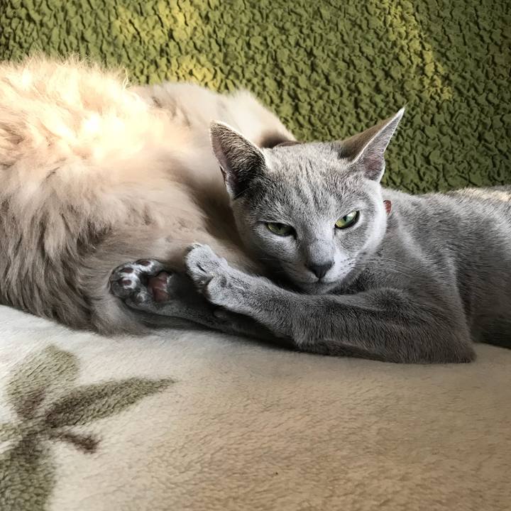 F6abadc6 5eab 495f 8eaa fce651b032ab 1516283140148