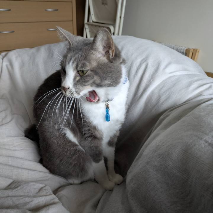 F6ac447d eab6 455d 8f4b c356049b6eae 1761874147290