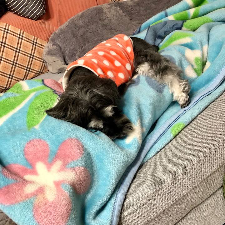 F6ac5ae3 16e1 4905 8abc 8399a826aee7 1708655736788