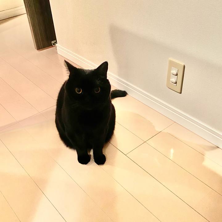 F6ac63dd 6254 4ff0 a155 467e799ef59b 1731932418099