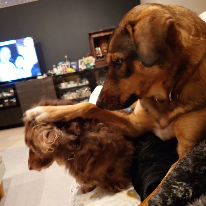 F6ac9fba 0fe6 41aa b0ee d91a5b83f30b 1734088376605