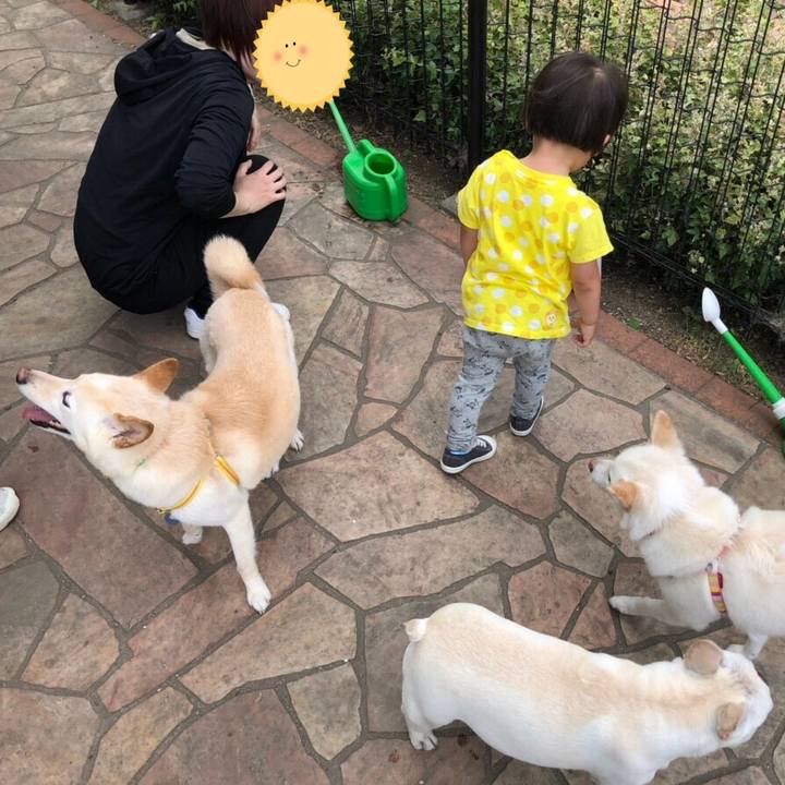 F6acab93 9249 4688 b3ce bfdb222621a8 1558250374596